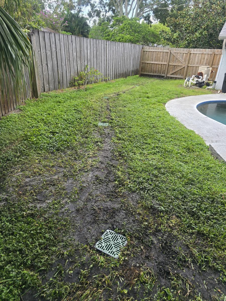Catch basin set flush in a backyard lawn