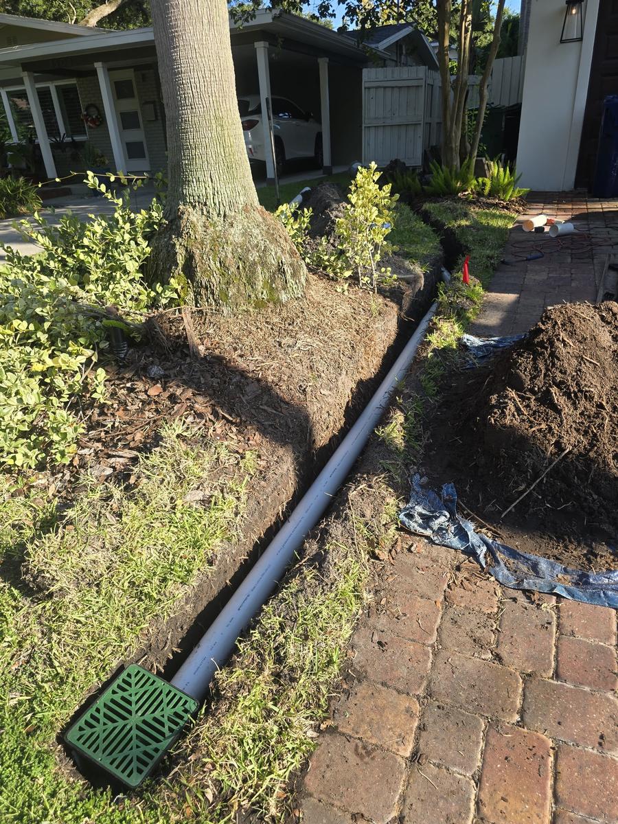 Drain pipe trench running to a flush catch basin in a Tampa Bay yard
